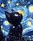 Paint by Numbers for Adults Black Cat, Paint by Numbers Kit on Canvas for Beginners, Starry Night Number Painting Set Craft Supplies, 3 Paintbrushes and Acrylic Paint 16x20 Inch